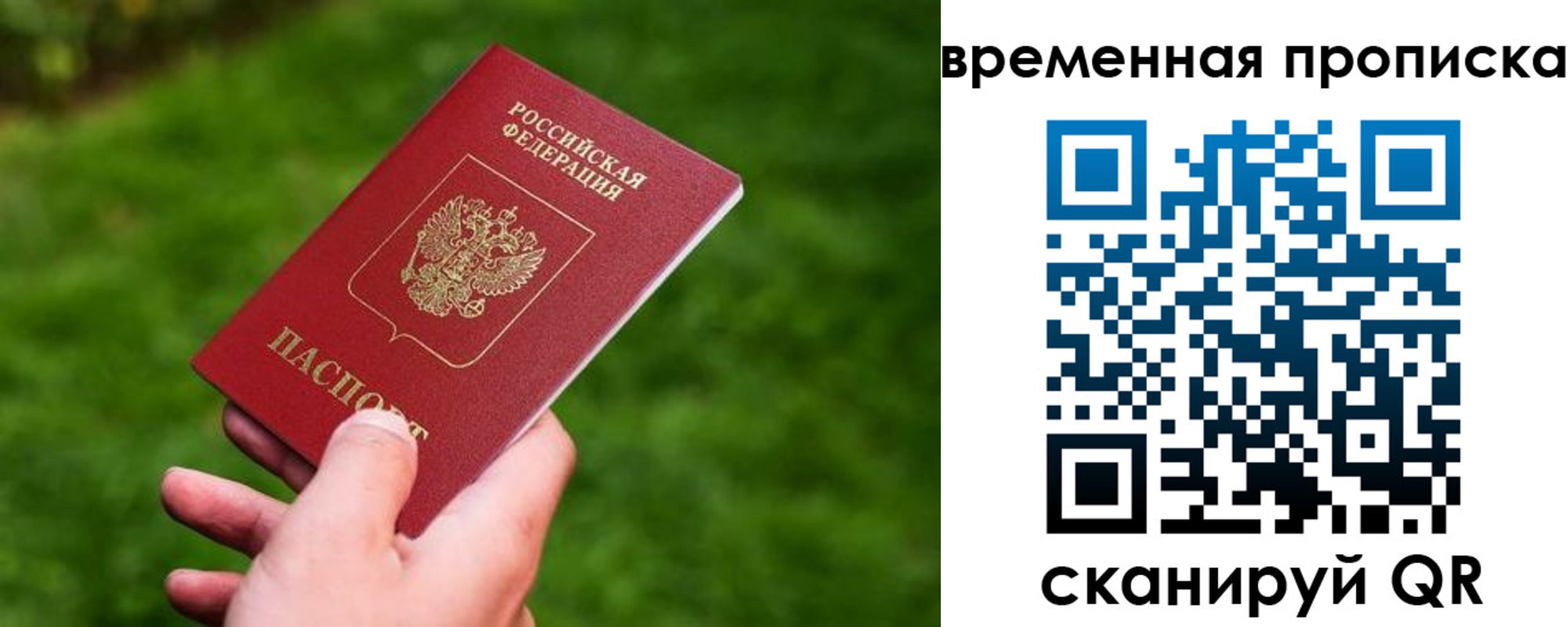 прописка ребенка в Пушкино